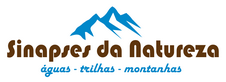 Sinapses da Natureza